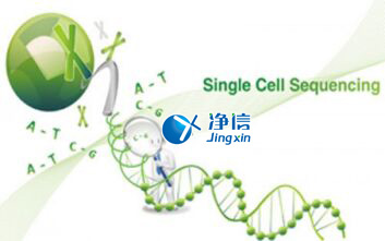 中國人自己的微流控單細胞測序儀來了！_微流控Drop-seq,微流控技術(shù)